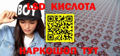 мяу мяу мука Малоярославец